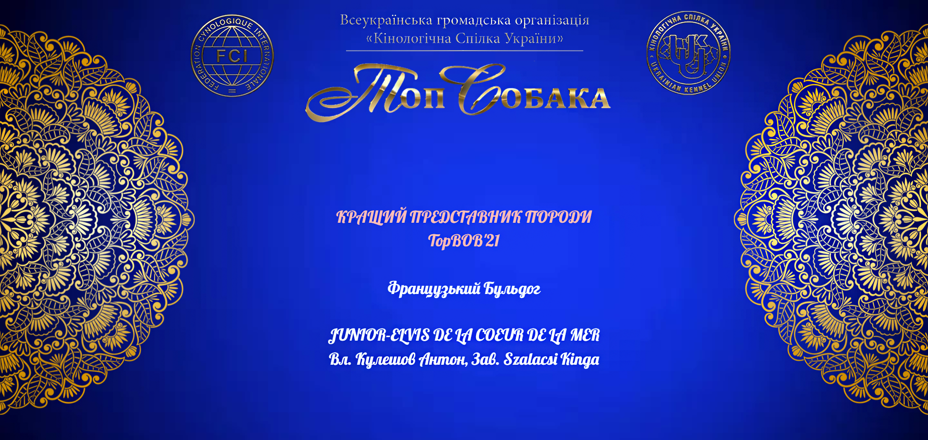 французский бульдог чемпион