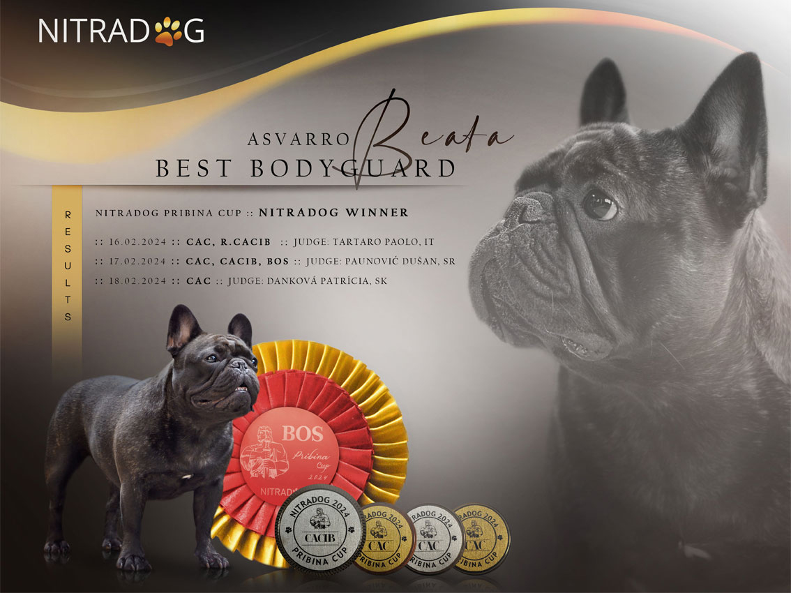 Bulldog francés