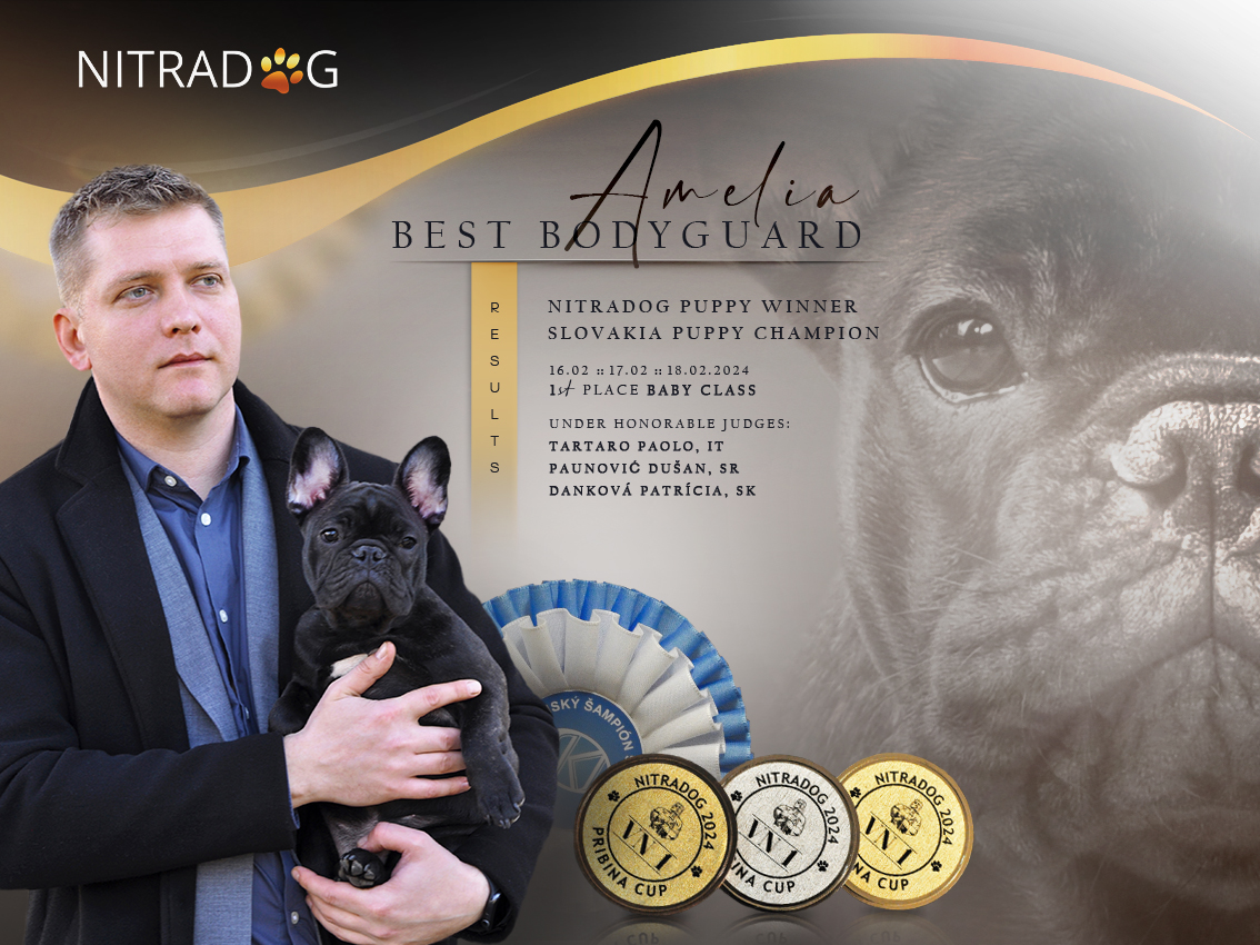 Bulldog francés
